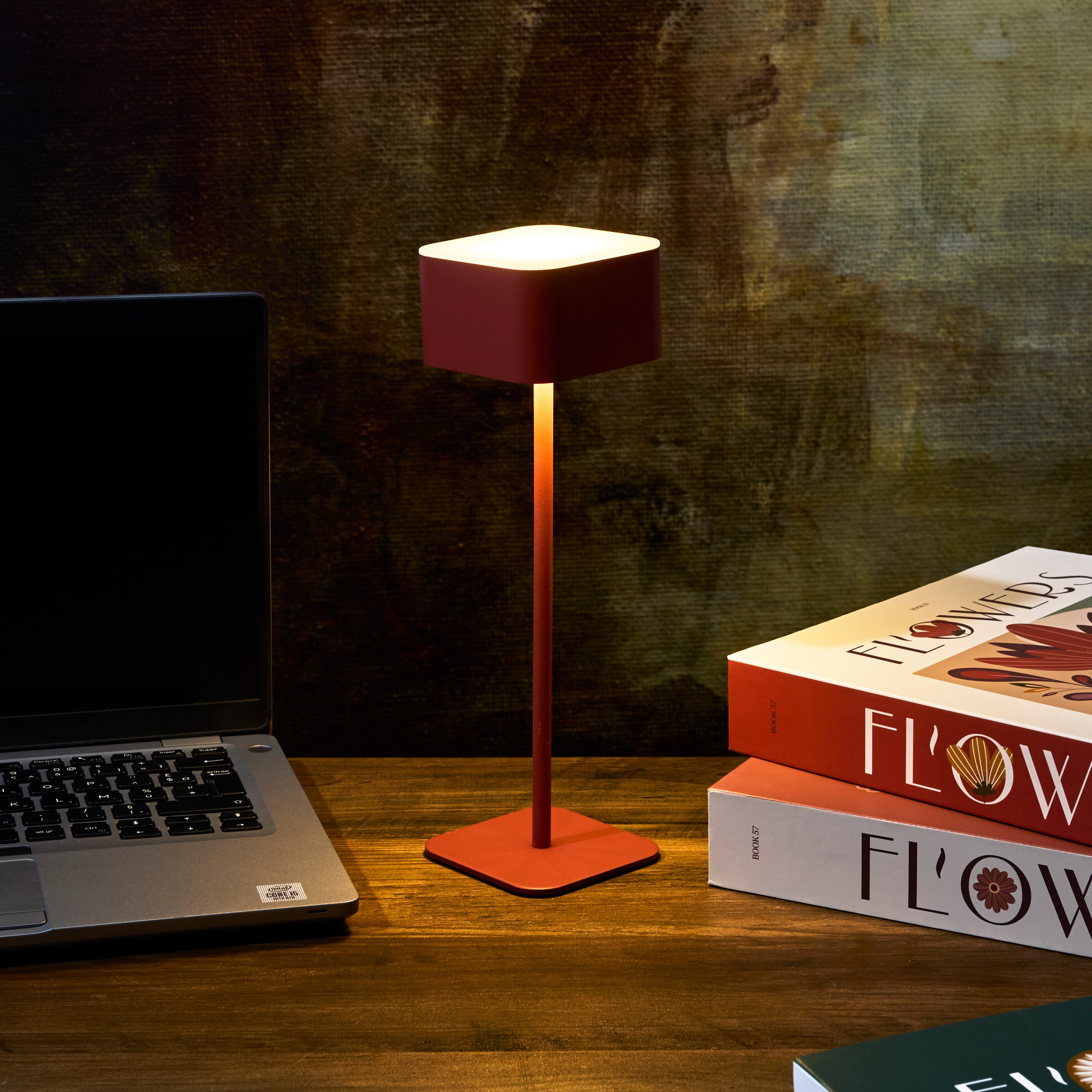 LAMPE DE TABLE TACTILE RECHARGEABLE TERRA