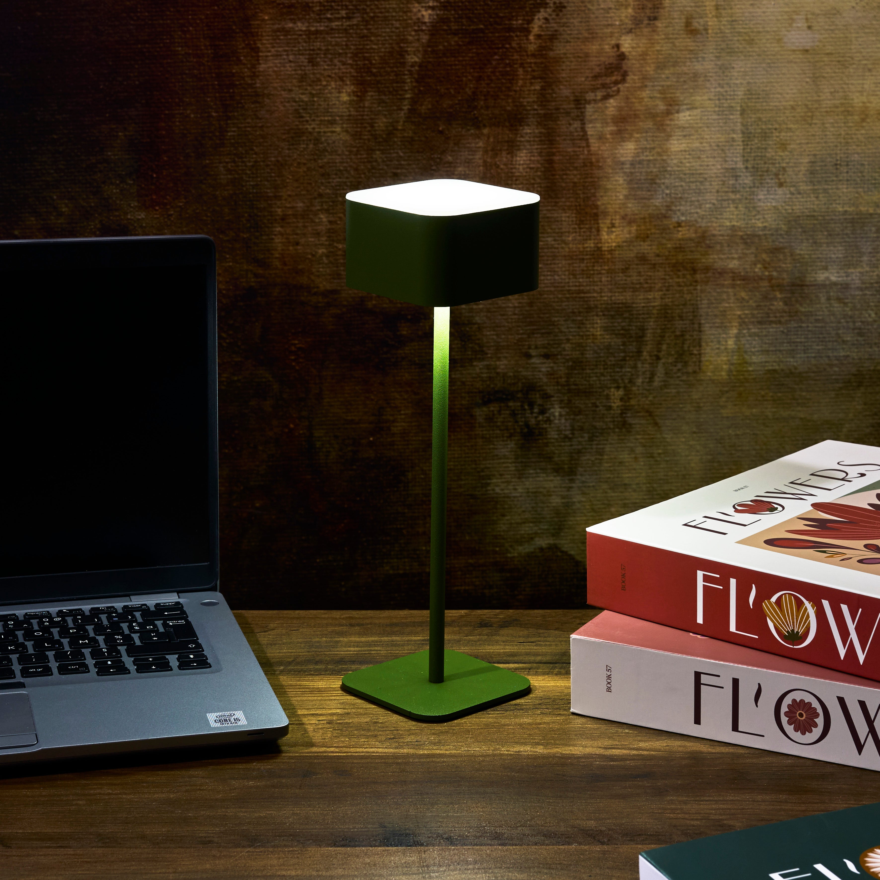 LAMPE DE TABLE TACTILE RECHARGEABLE VERT