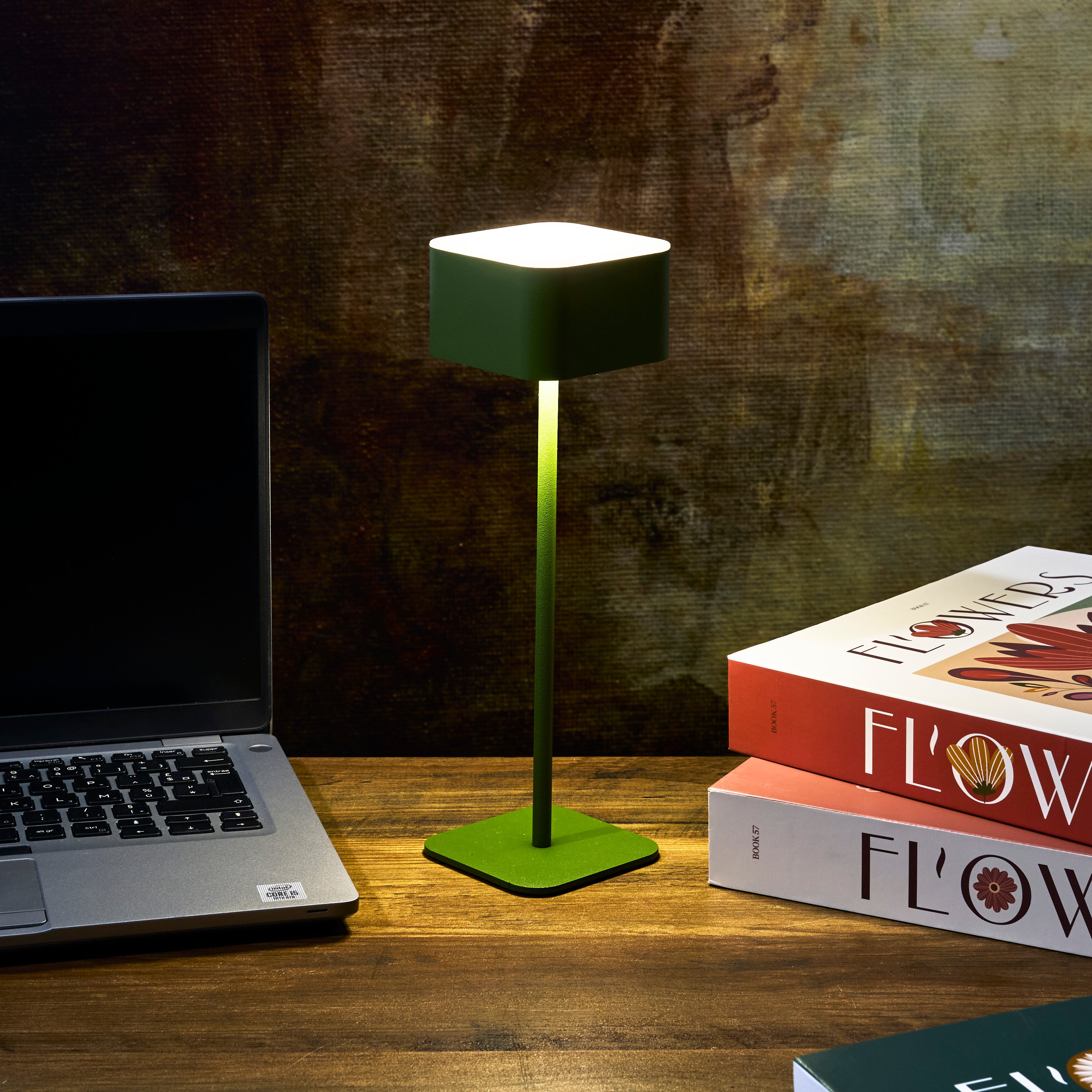 LAMPE DE TABLE TACTILE RECHARGEABLE VERT