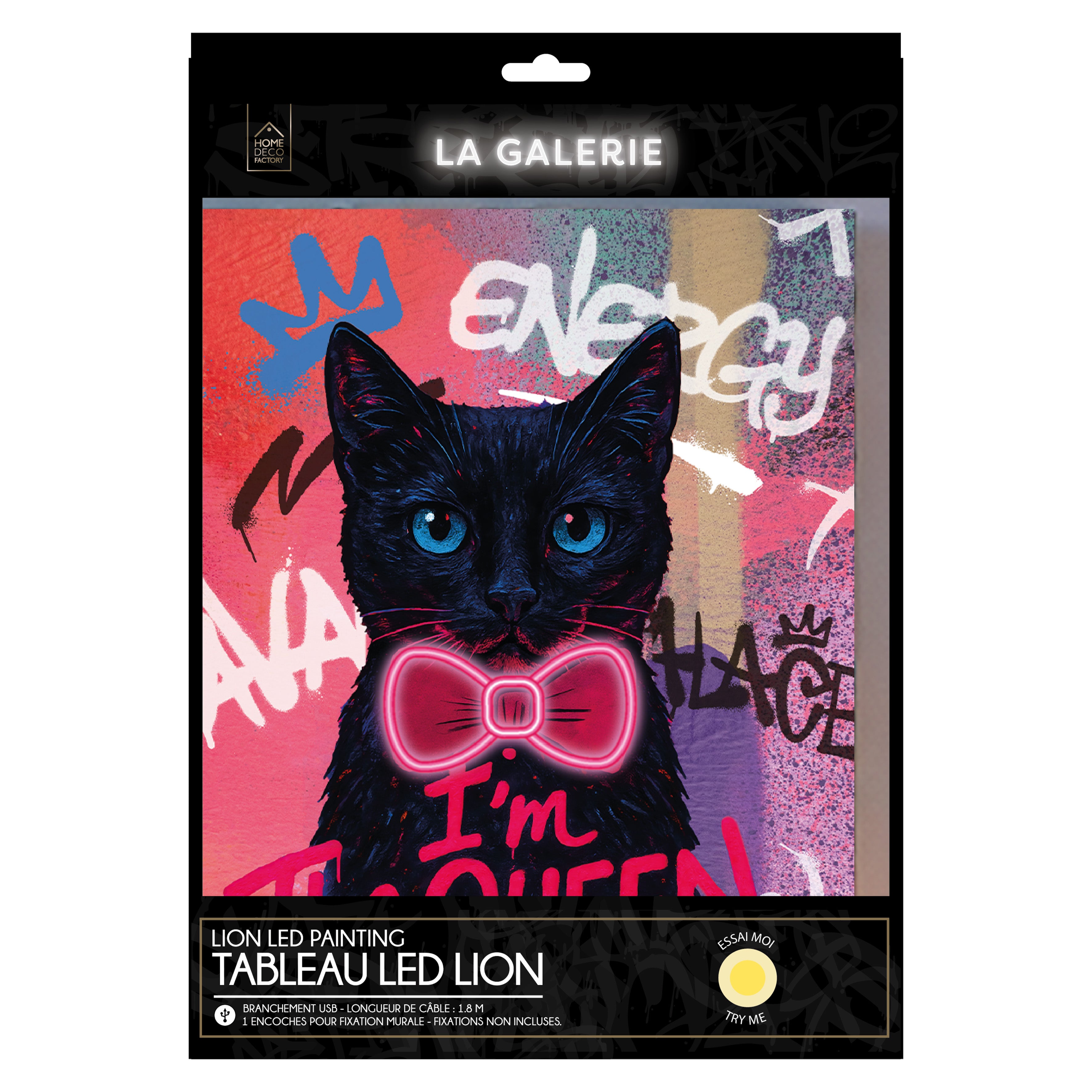 TABLEAU LED CHAT 30X40CM