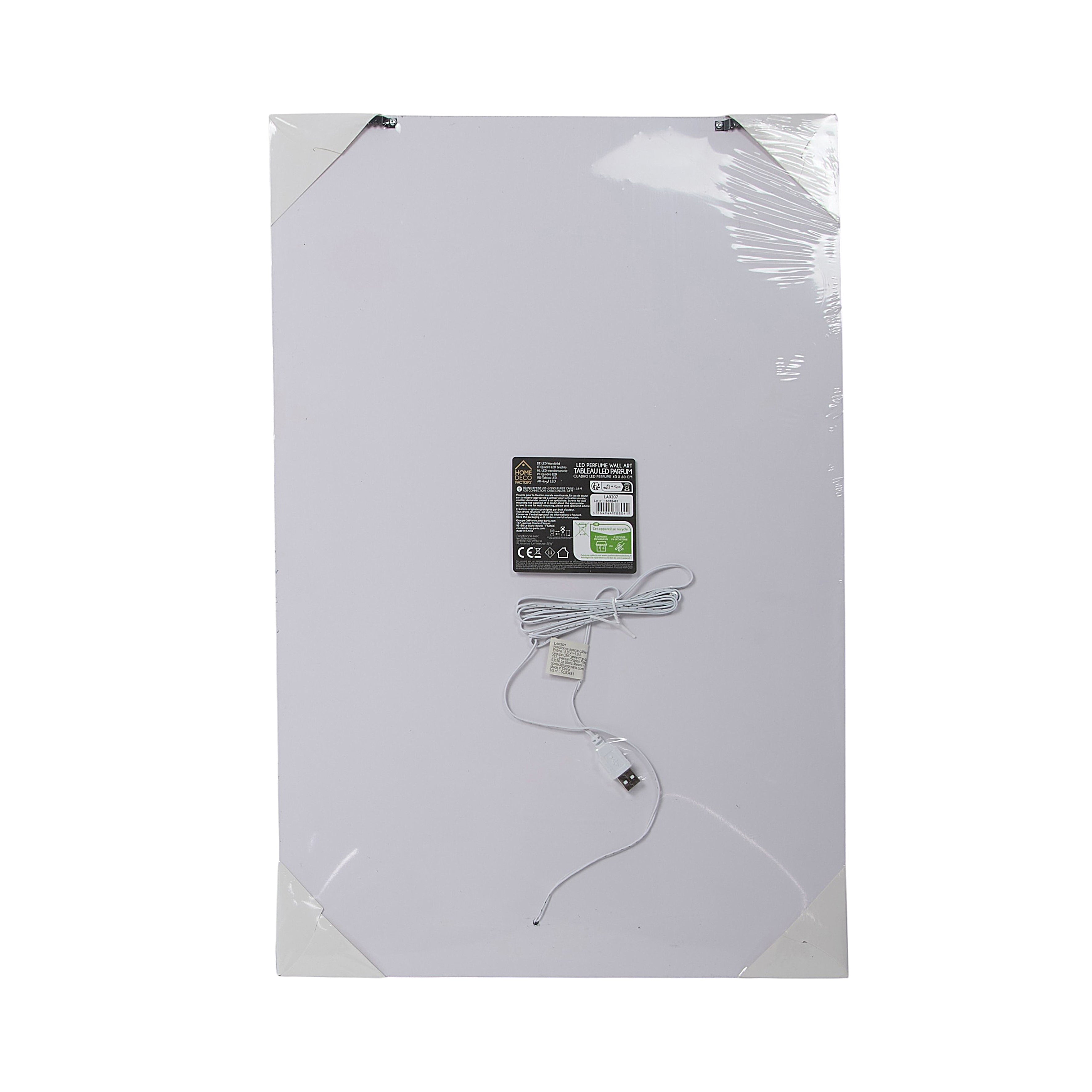 TABLEAU LED FLACON 40X60CM
