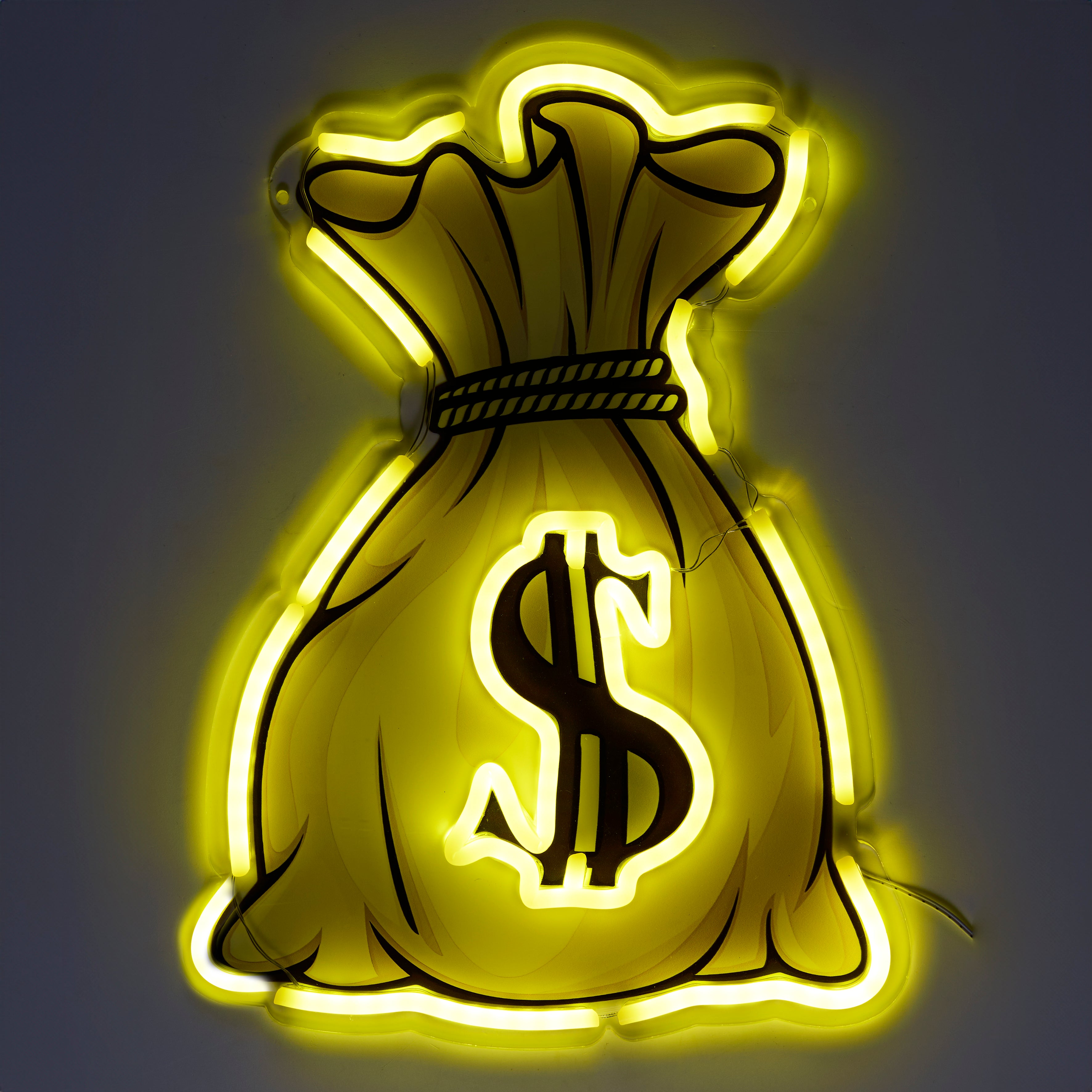 LAMPE LED EFFET NEON DOLLAR