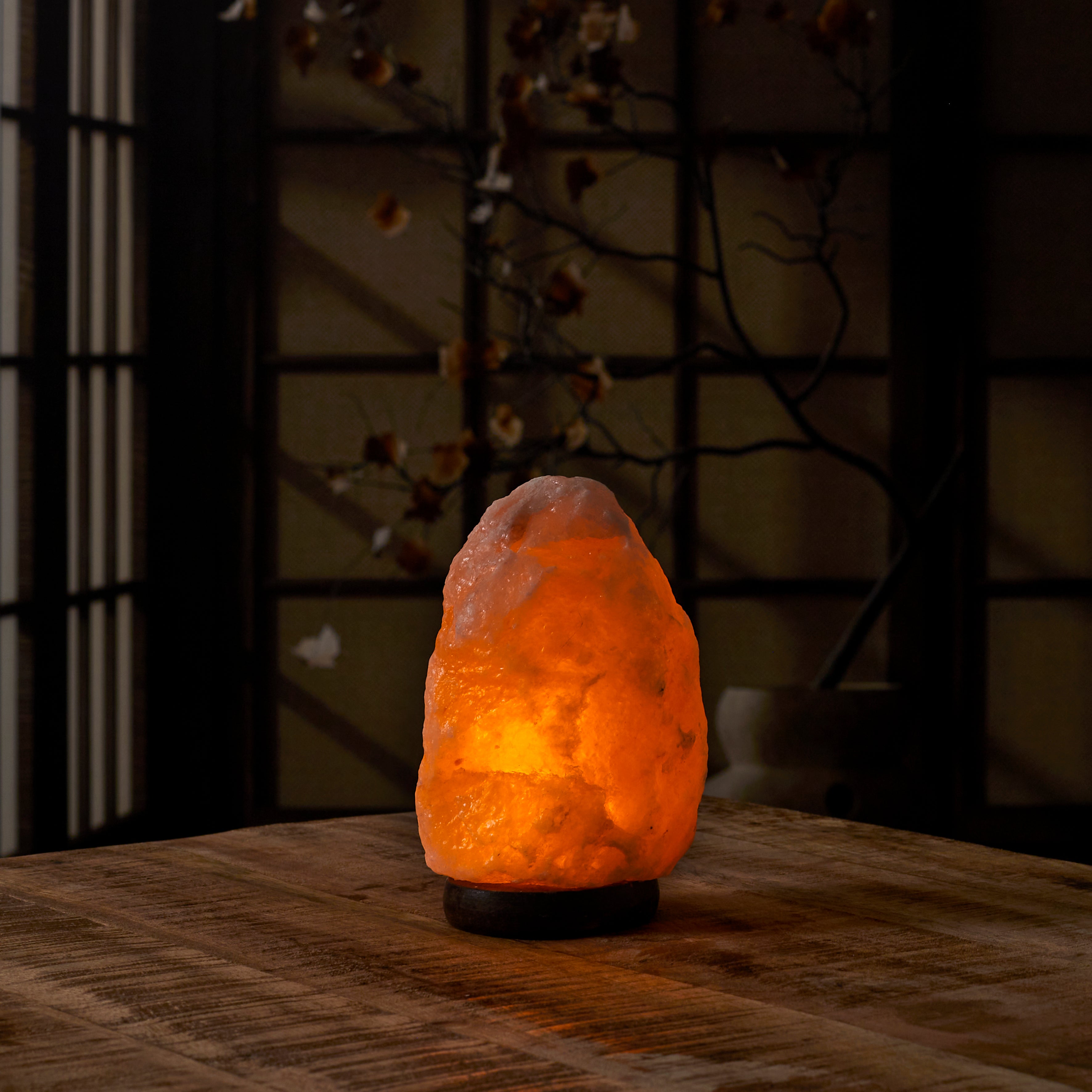 LAMPE DE SEL SOCLE BOIS