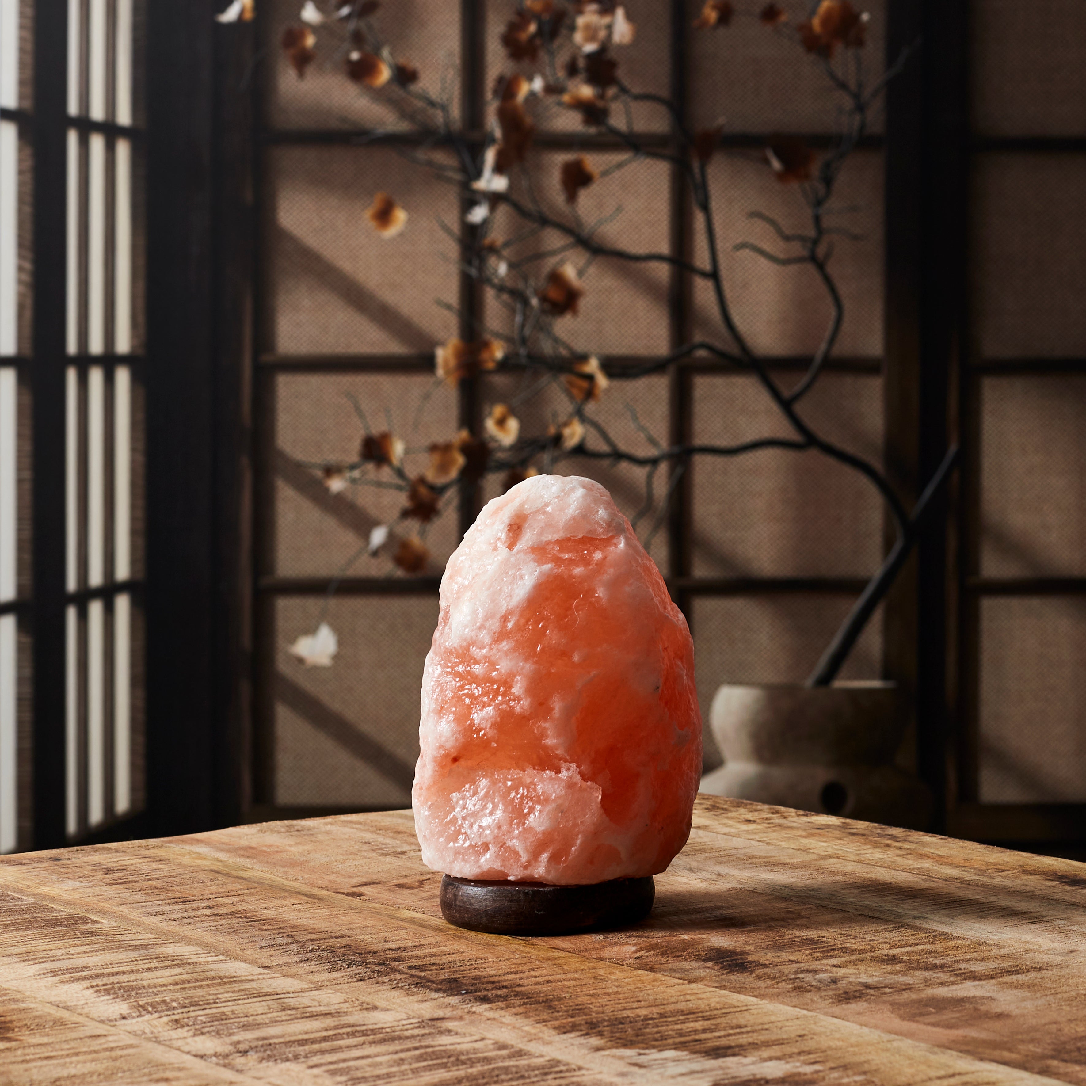 LAMPE DE SEL SOCLE BOIS