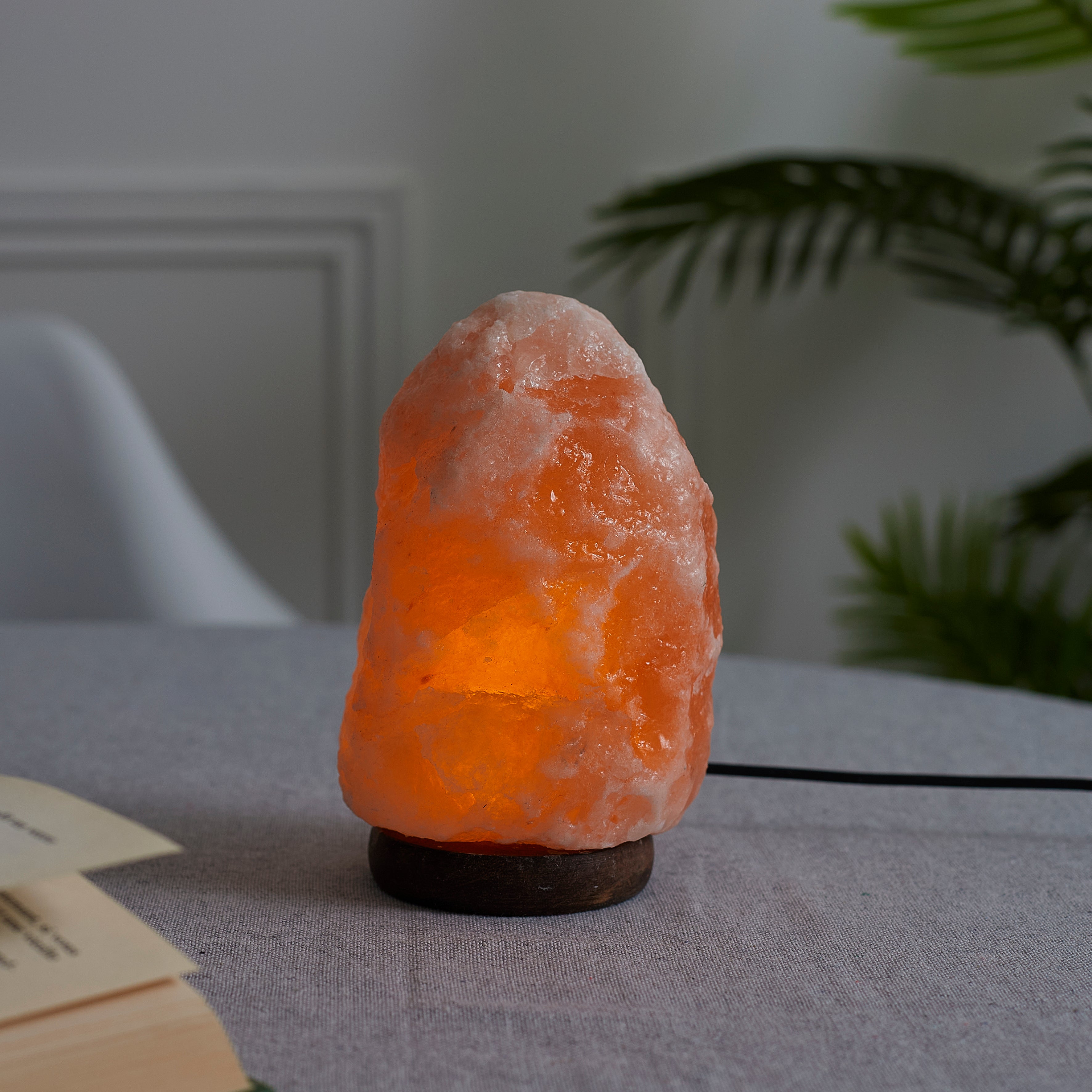 LAMPE DE SEL SOCLE BOIS