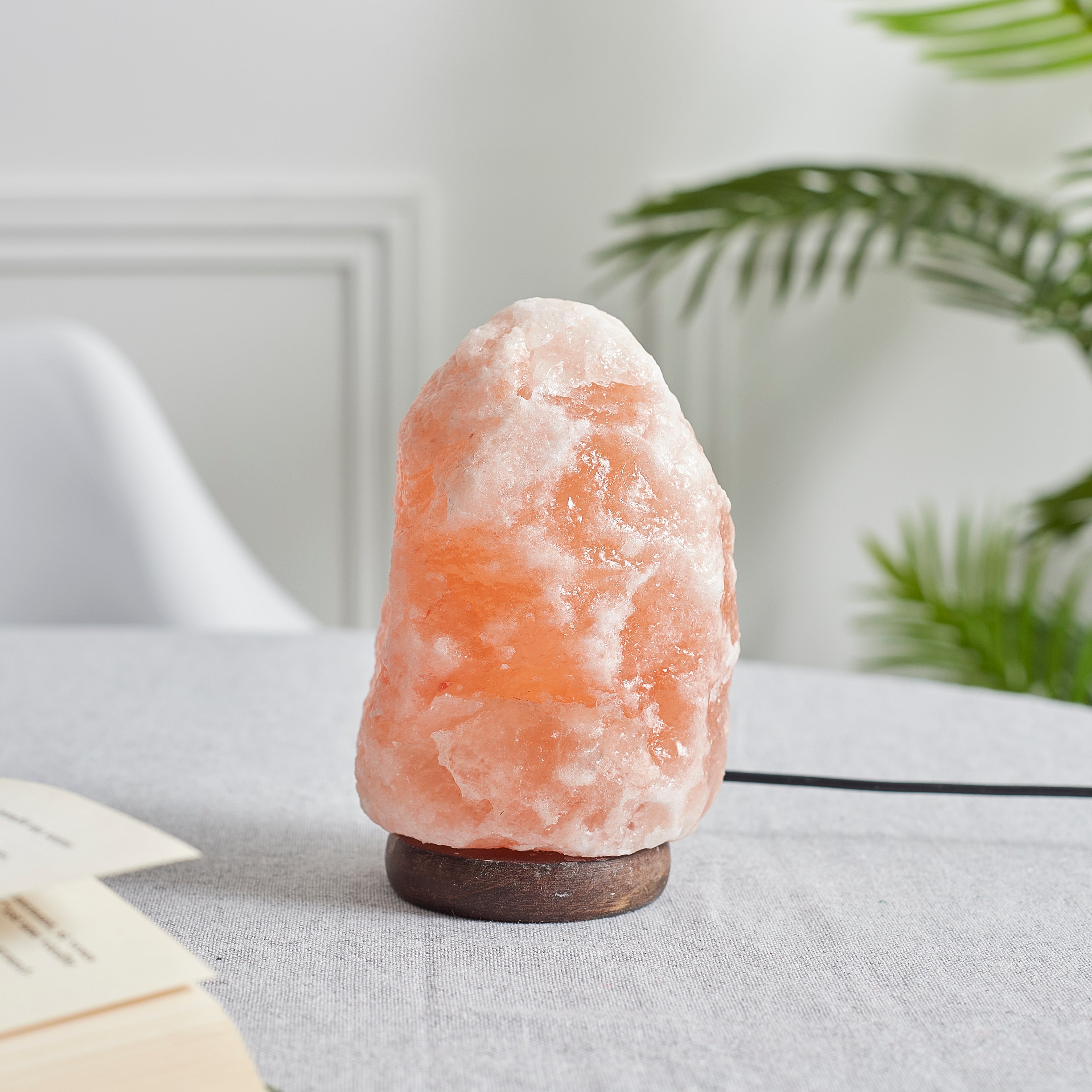 LAMPE DE SEL SOCLE BOIS