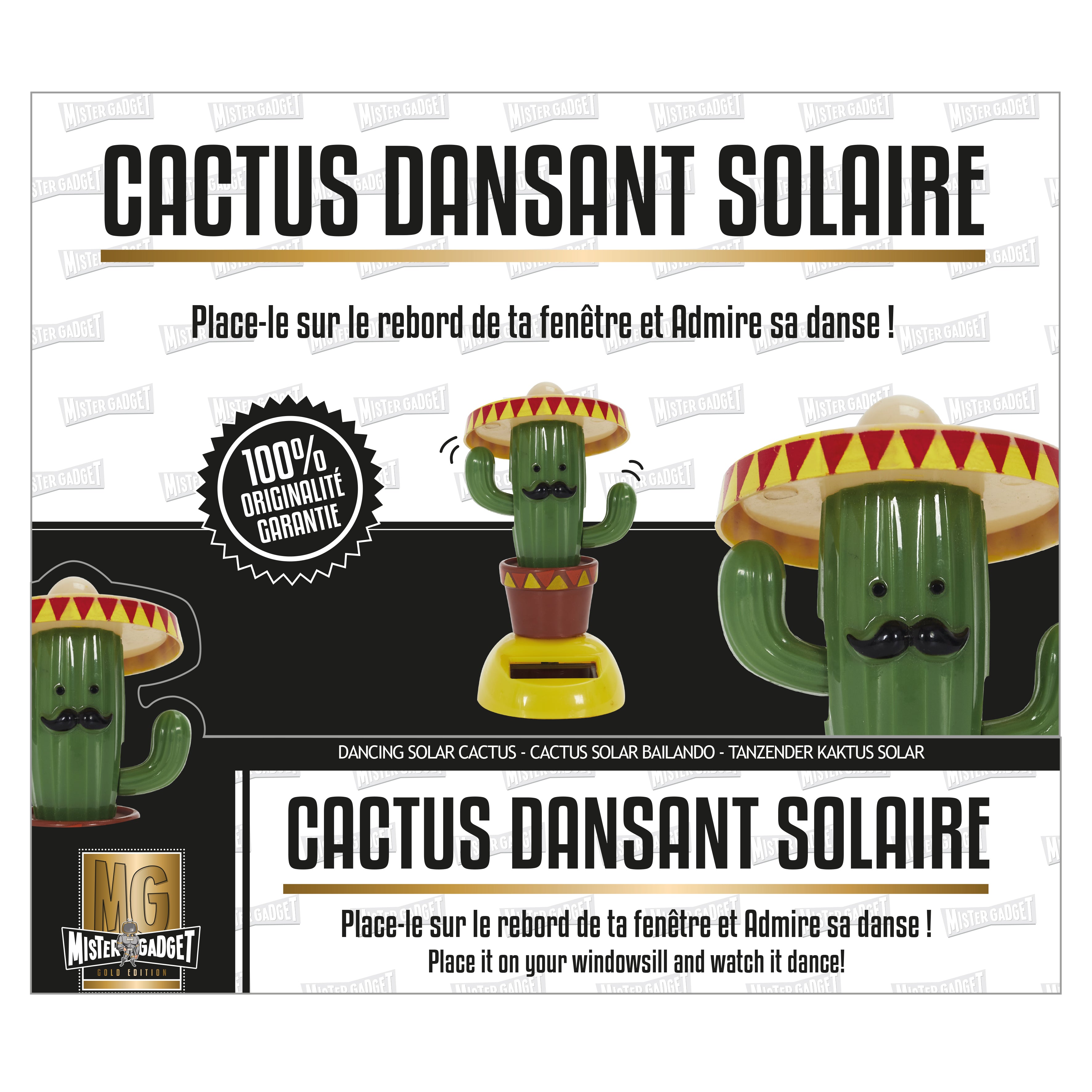 CACTUS SOLAIRE DANSANT