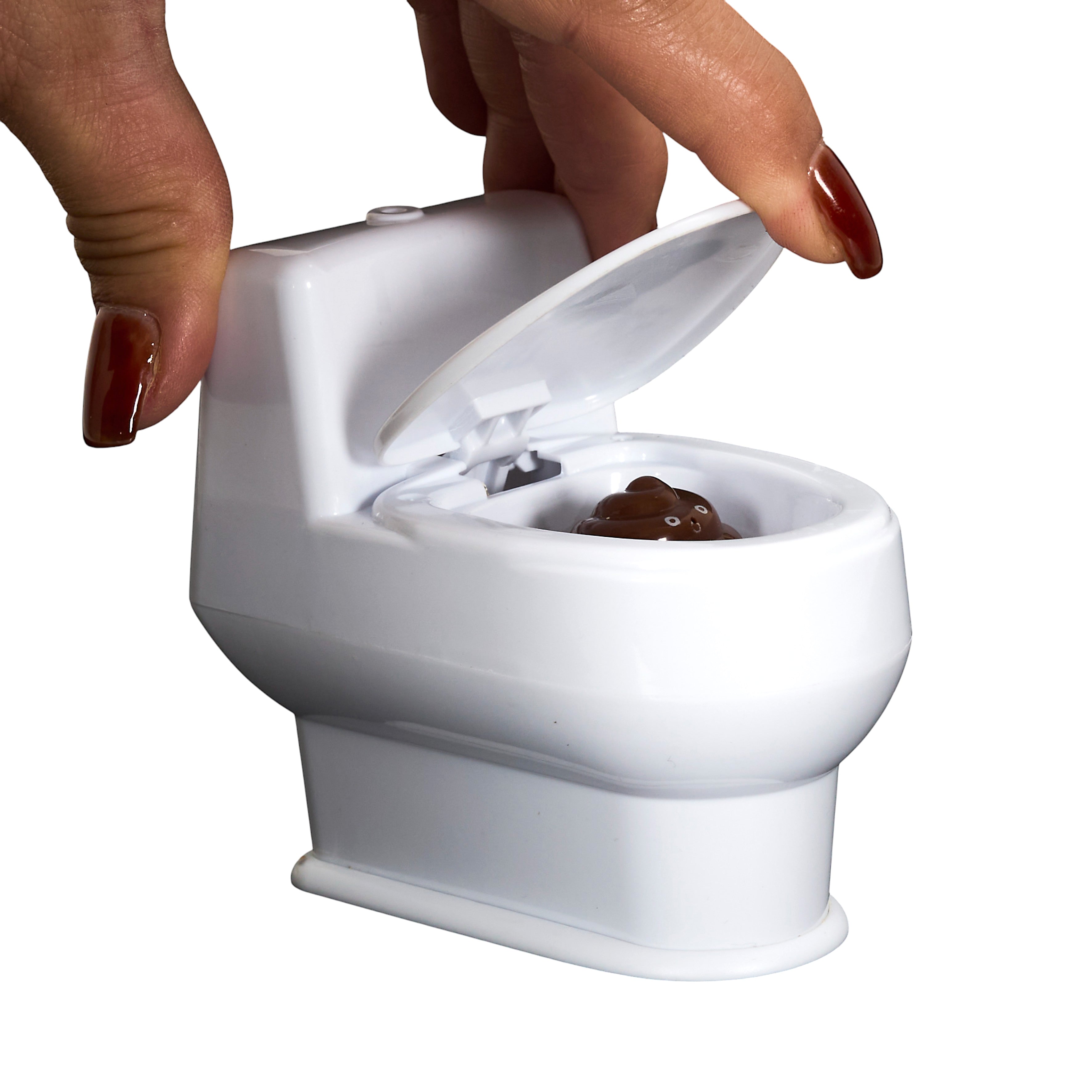 TOILETTES FARCEUSES