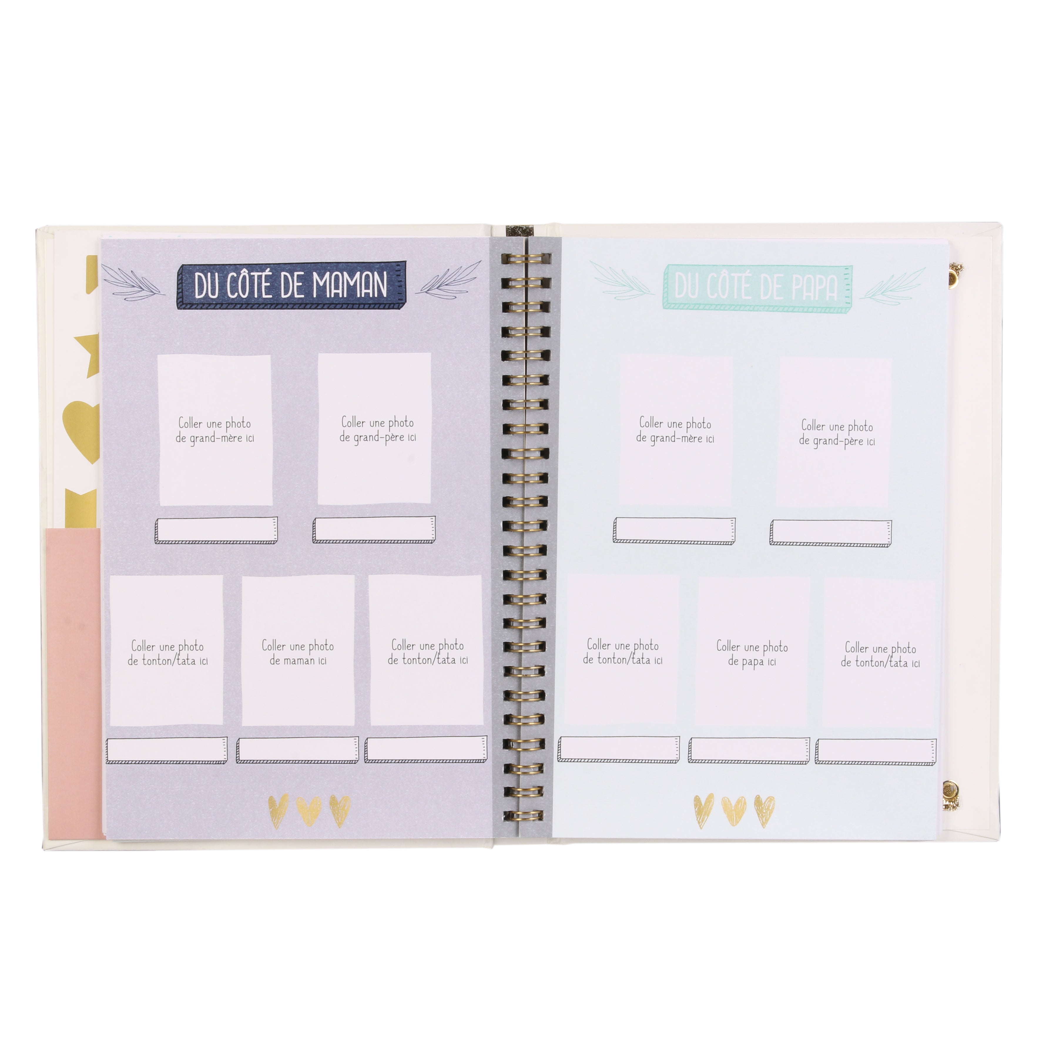 CARNET DE GROSSESSE