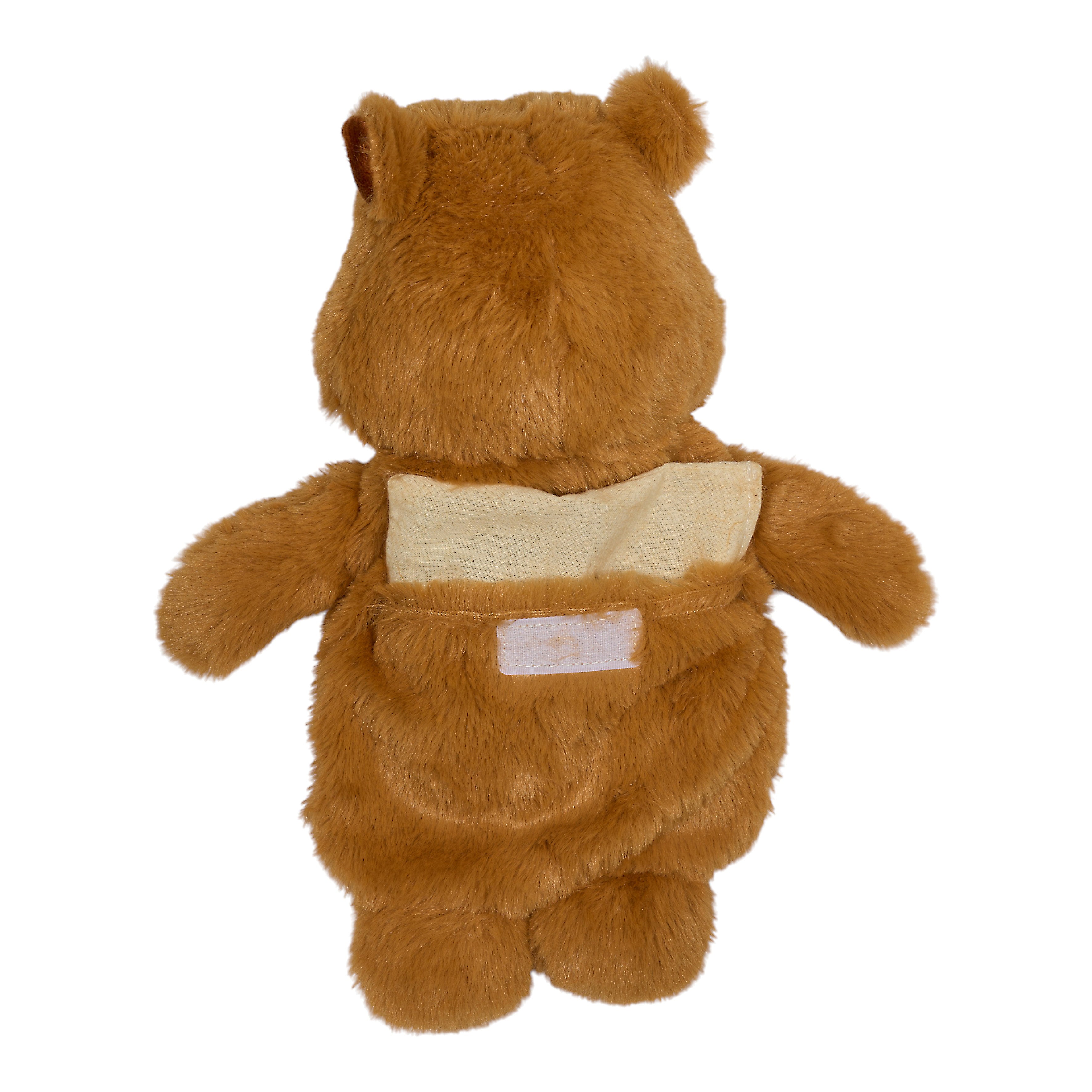 BOUILLOTTE PELUCHE MICRO ONDABLE CAPYBARA