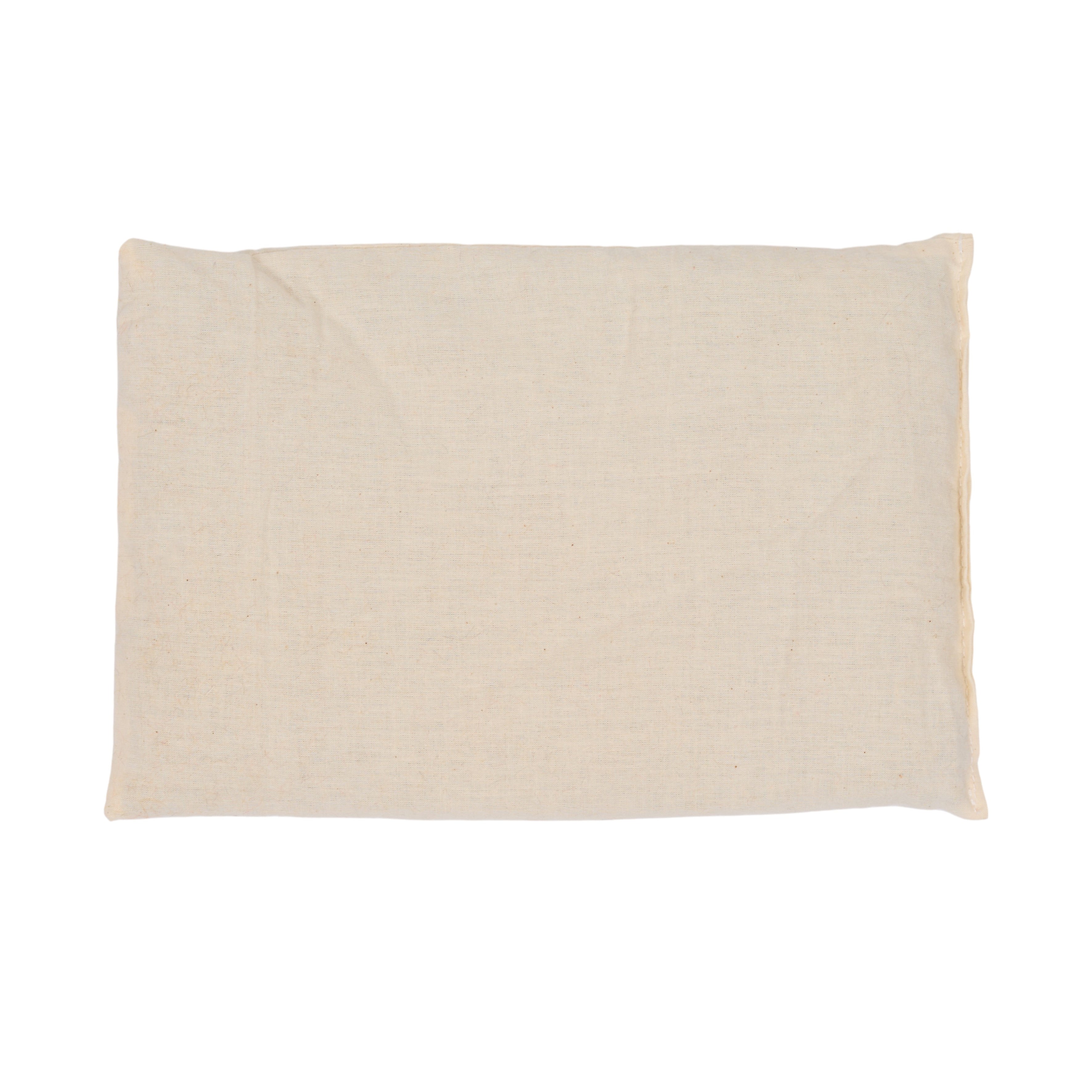 BOUILLOTTE COUSSIN MICRO ONDABLE CAPYBARA
