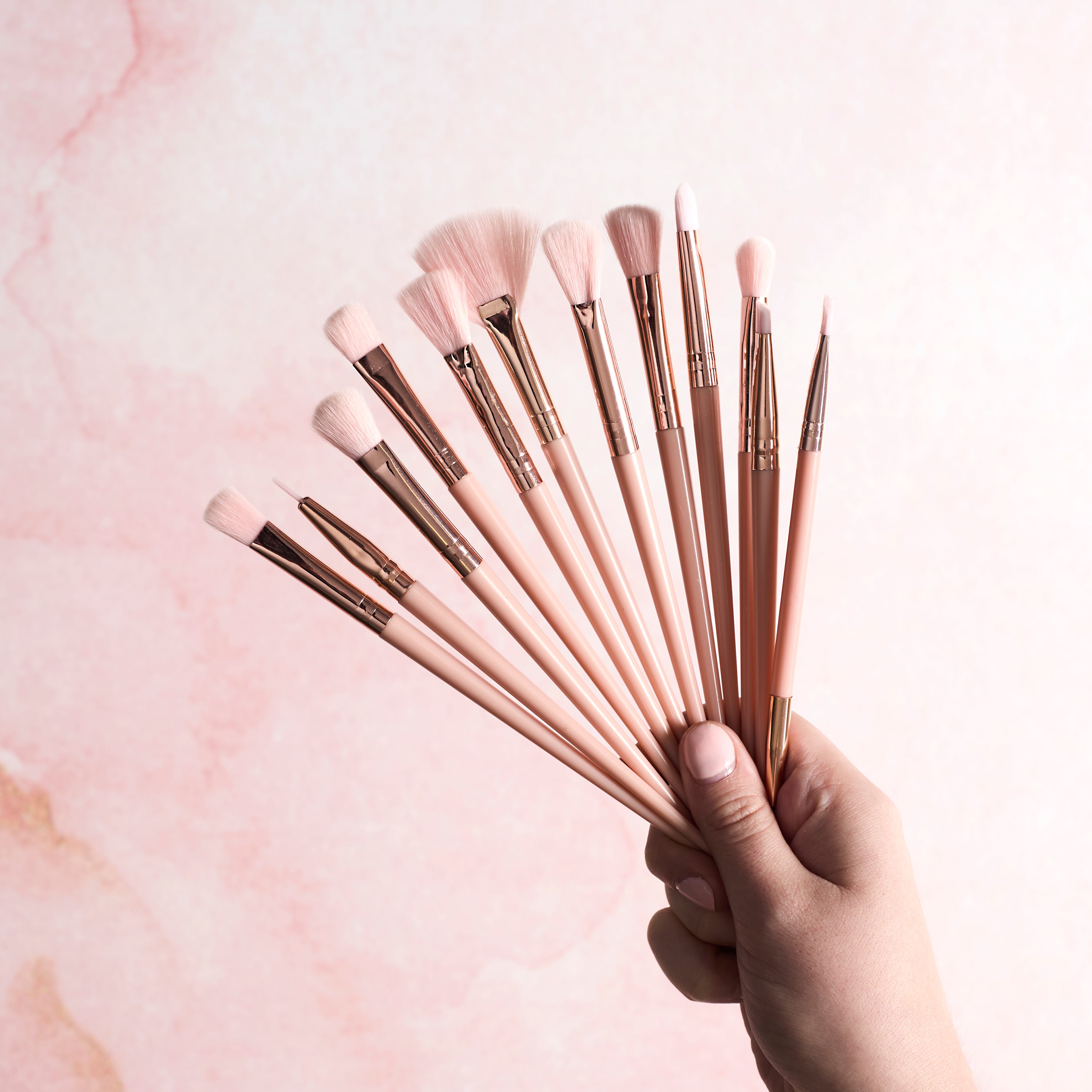PINCEAU MAQUILLAGE X12