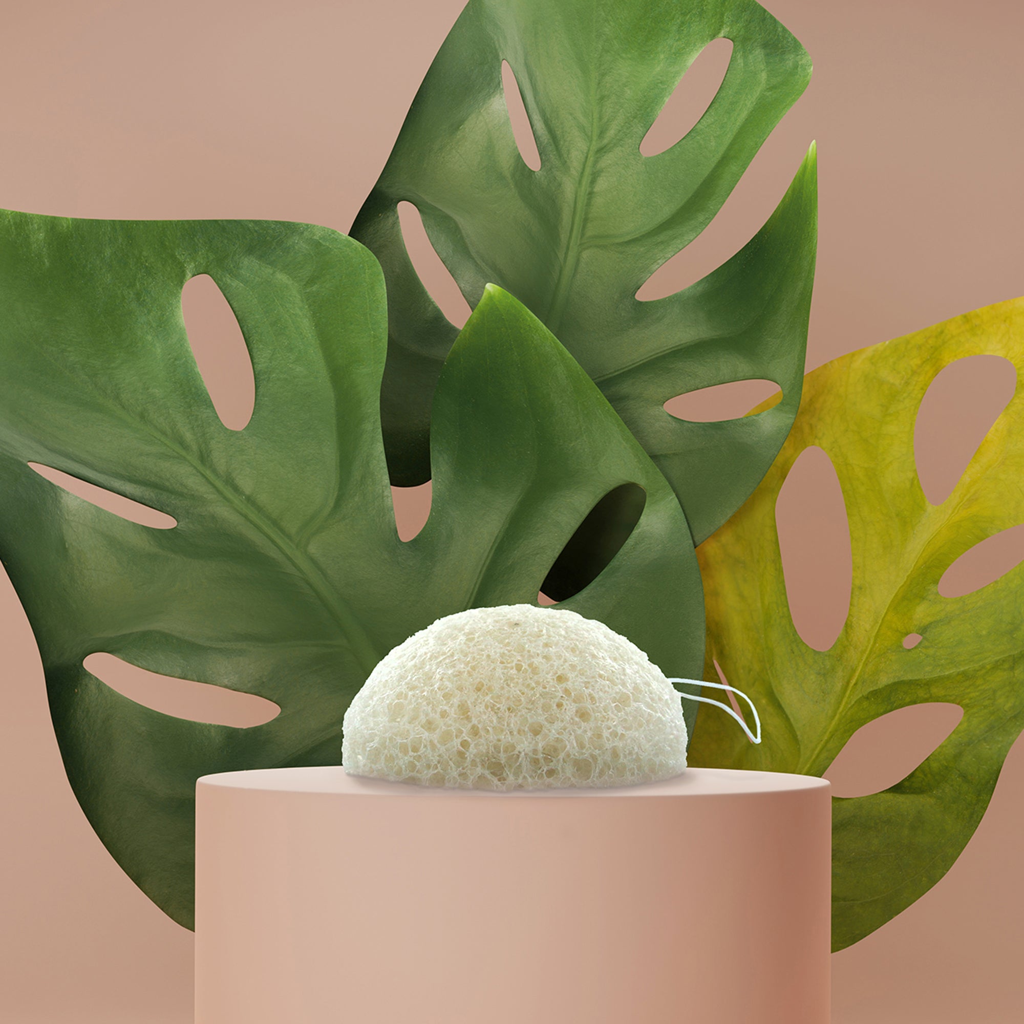 EPONGE KONJAC TOUS TYPES DE PEAUX