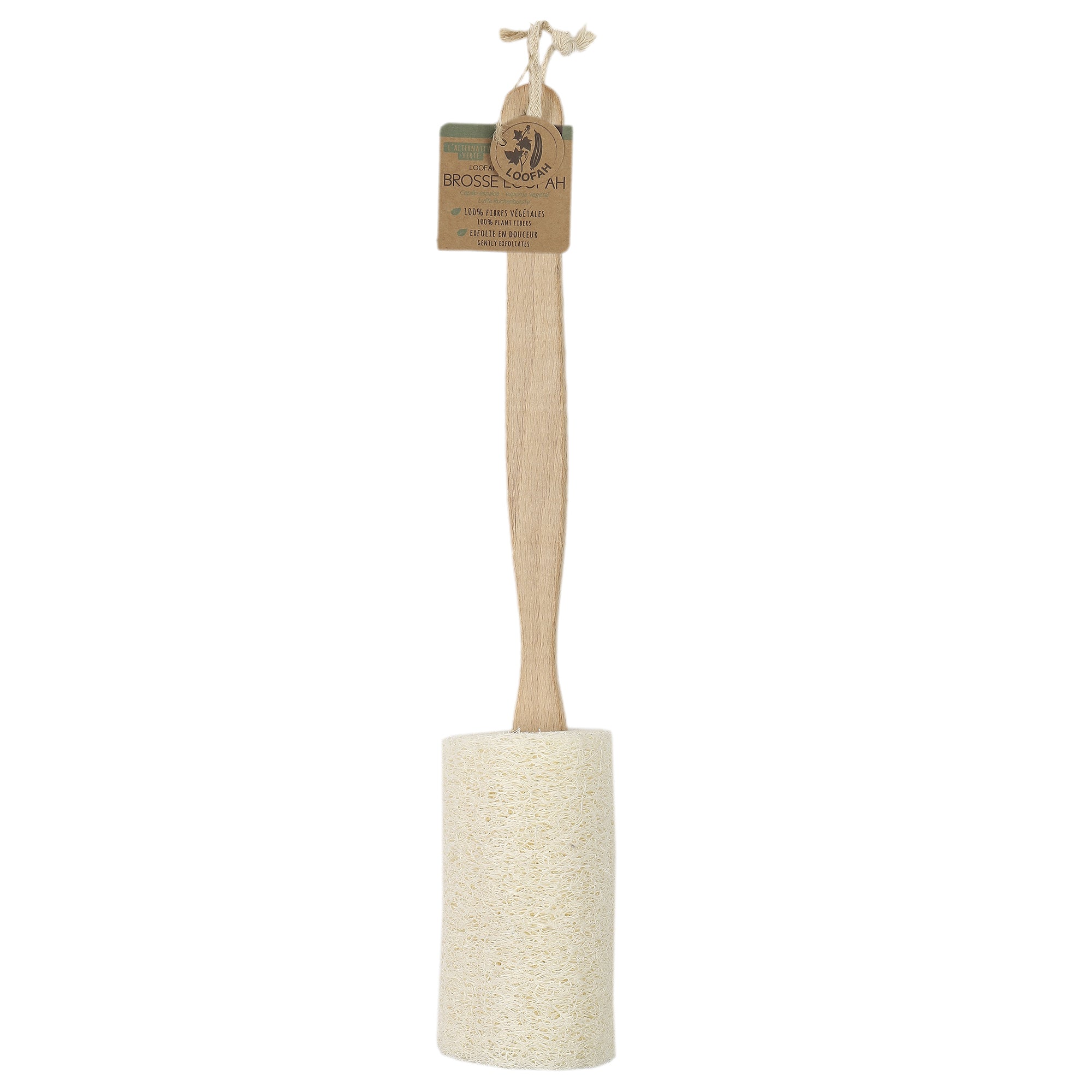 BROSSE DOS