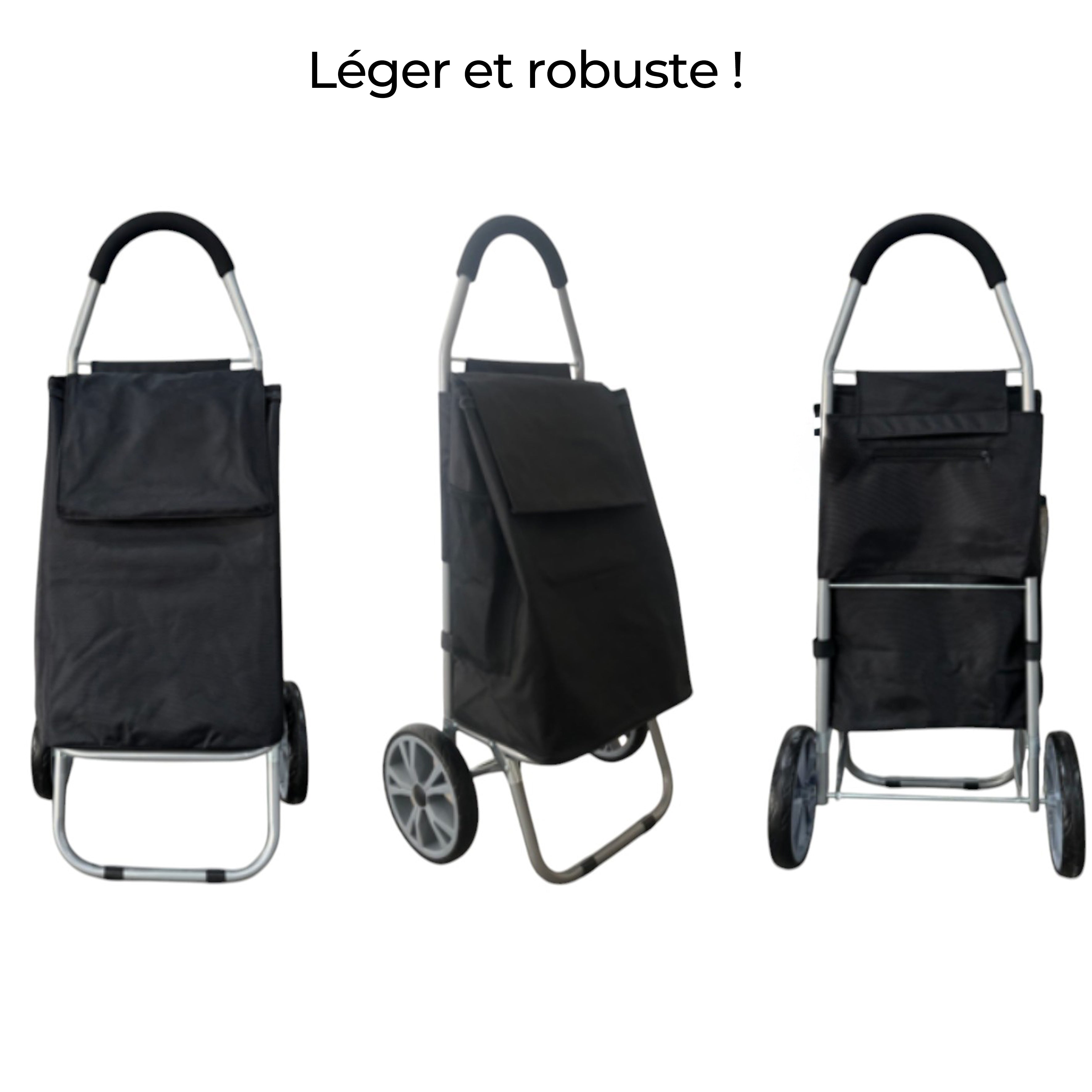 CHARIOT 2 ROUES